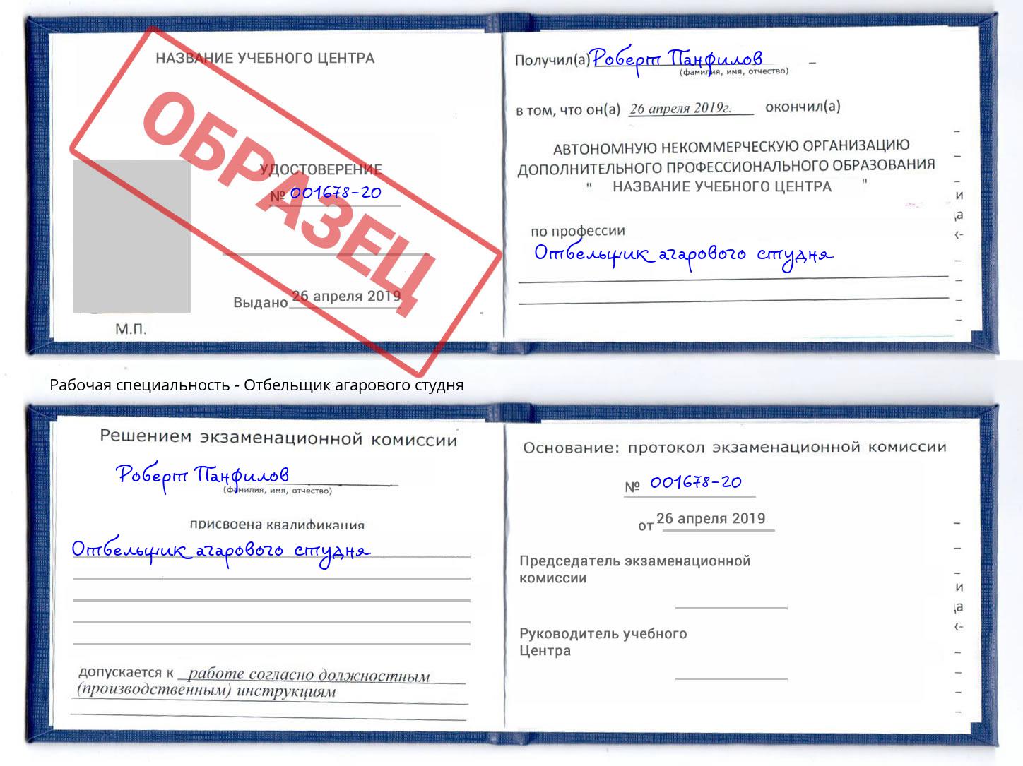 Отбельщик агарового студня Ишим