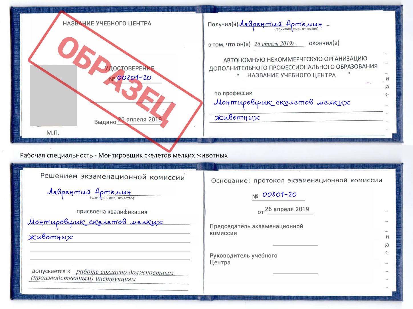 Монтировщик скелетов мелких животных Ишим