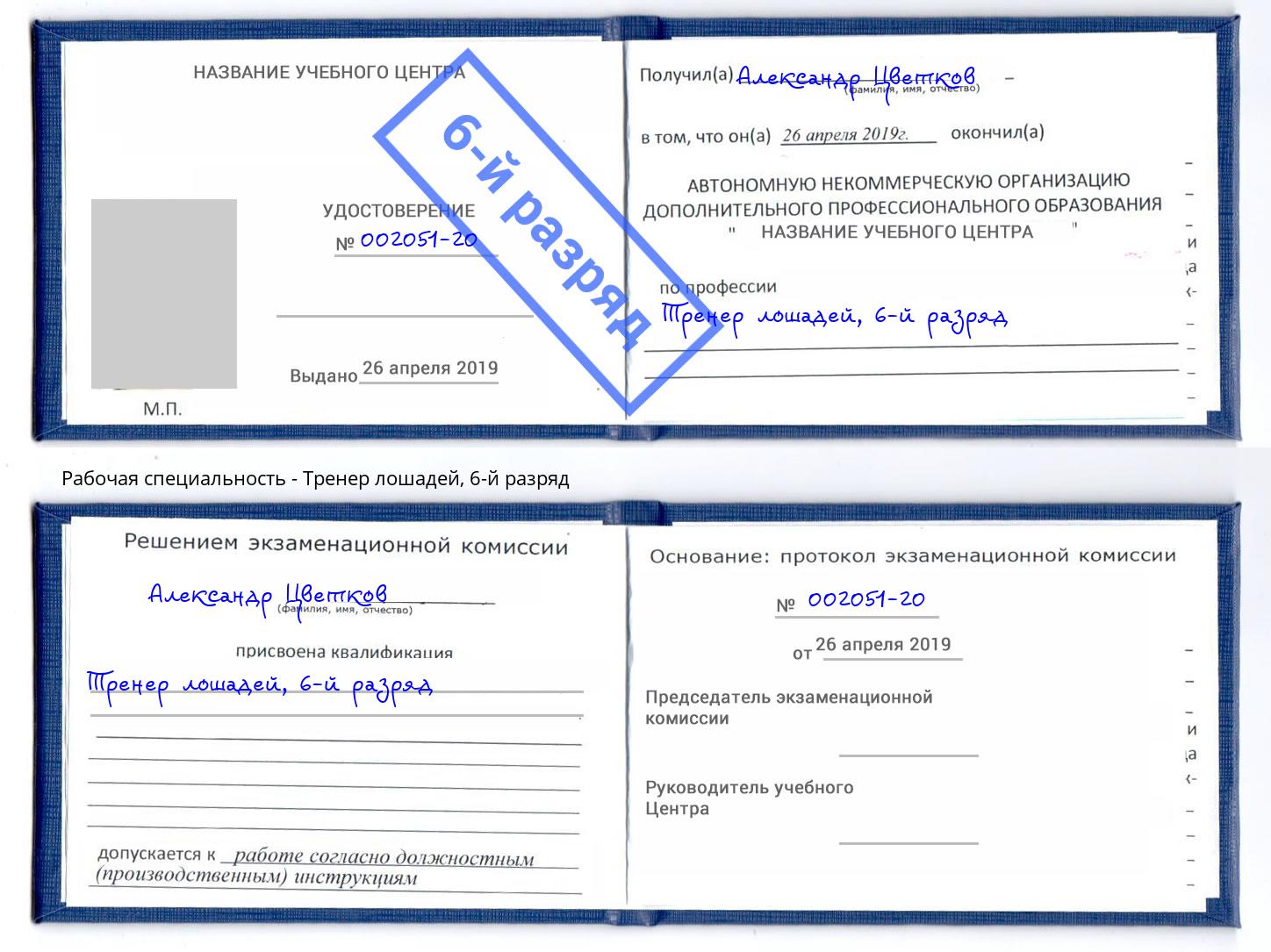 корочка 6-й разряд Тренер лошадей Ишим