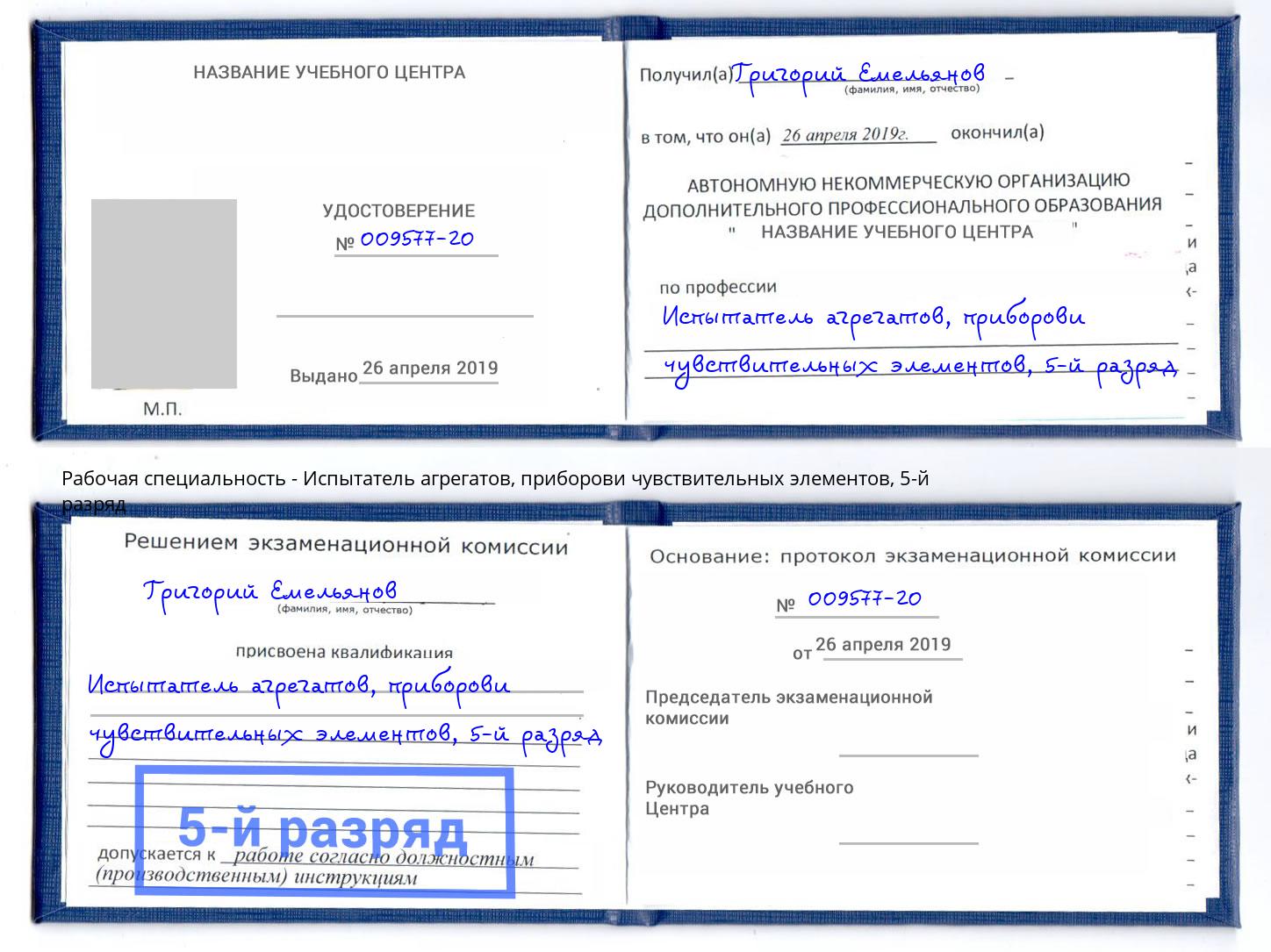 корочка 5-й разряд Испытатель агрегатов, приборови чувствительных элементов Ишим